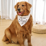 Bandana Casamento Canina