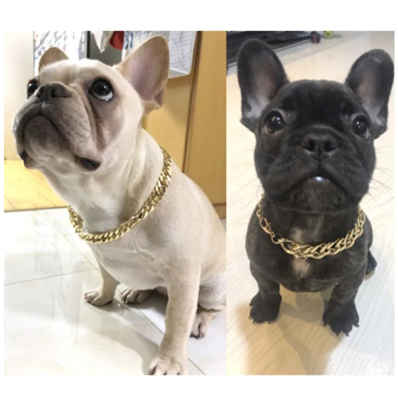Coleiras banhadas a plástico dourado para cães, corrente galvanizada para cães para pitbull, joias da moda, acessórios para cães para buldogue francês