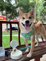 Garrafa Pet Portátil