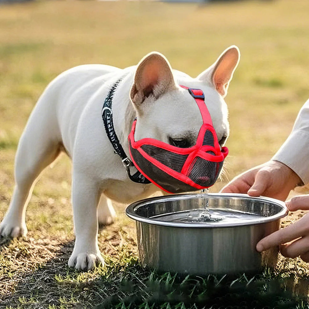 Focinho para cachorro com focos curtos, buldogues, respirável, anti-mordida, caminhada, bebida, boca curta, capa para focinho de cachorro, produtos para animais de estimação, shar pei