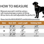 Coleira de cachorro premium personalizada de veludo de várias cores, trela personalizada gravada com placa de nome de animal de estimação, fivela de metal, presente de casamento para cachorro