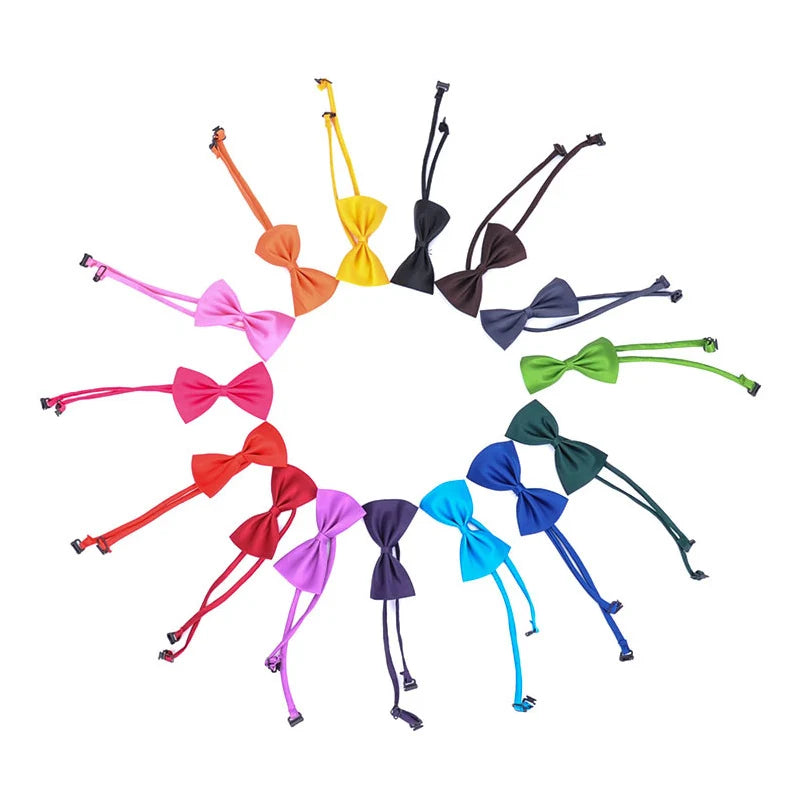 Gravata Pet Charmosa