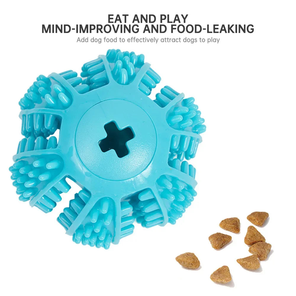 Bola Interativa Cães