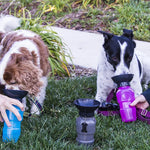 Garrafa Portátil Pet