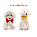 Gravata Pet Charmosa