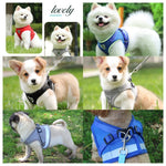 Conjunto de arnês e coleira para cães de estimação, malha ajustável, suprimentos para gatos, coleira, filhote de cachorro, buldogue, corgi, acessórios para cães