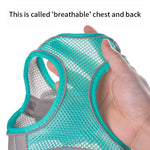 Conjunto de coleira para cães pequenos, coleira ajustável para cachorros e gatos, buldogue francês, chihuahua, pug, caminhada ao ar livre