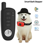 Impermeável choque elétrico Dog Training Collar, som de vibração, colar de casca para cães pequenos, médios, grandes, 1000 pés