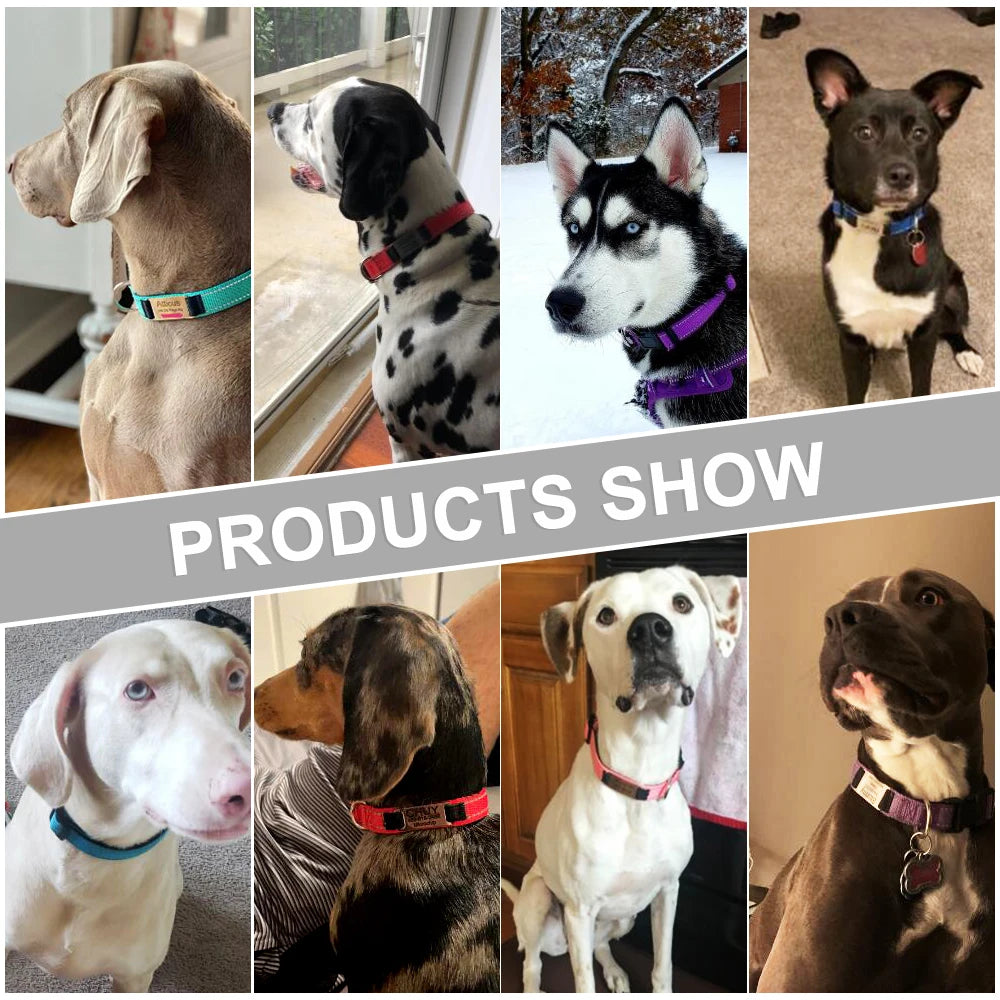 Coleira de cachorro reflexiva ajustável náilon personalizado gravado nome id tag personalizado luminoso filhote de cachorro brilhante grande unisex coleira de cachorro