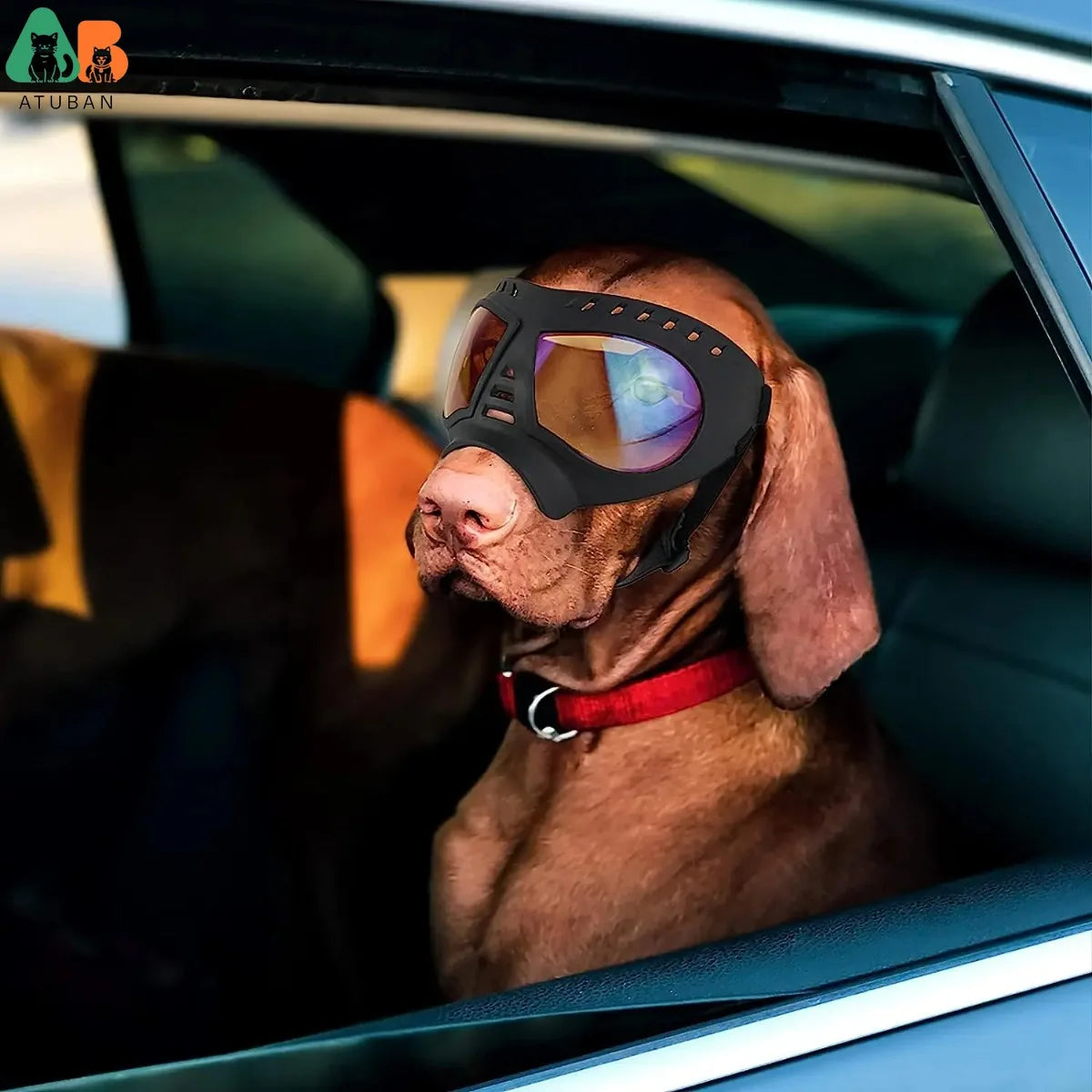 Óculos de Sol e Capacete Atuban para Cães, Proteção UV, Chapéu Sport, Windproof, Snowproof, Pet Riding, Cães Grandes