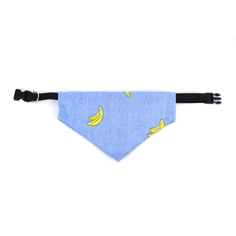 Bandana Pet Charmosa