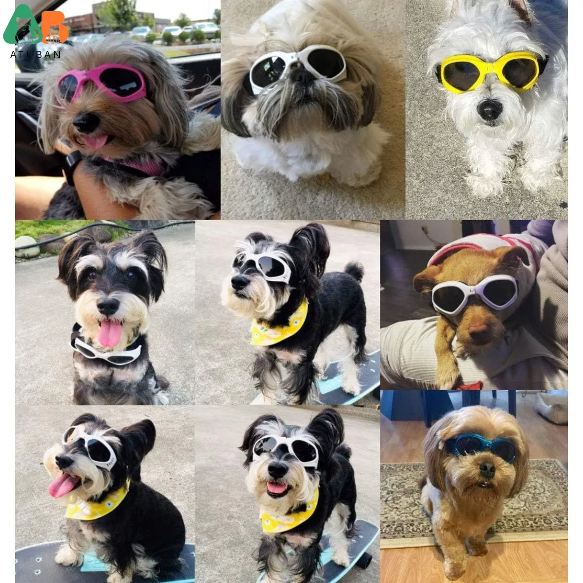 ATUBAN Óculos de sol para cães pequenos, à prova d'água, à prova de vento, proteção UV, óculos de sol para animais de estimação, cachorrinho, gato (branco