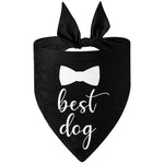 Bandana Casamento Canina