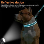 Coleira reflexiva para cães médios e grandes, coleira acolchoada de neoprene macio, resistente, ajustável, suprimentos para coleira de animais de estimação