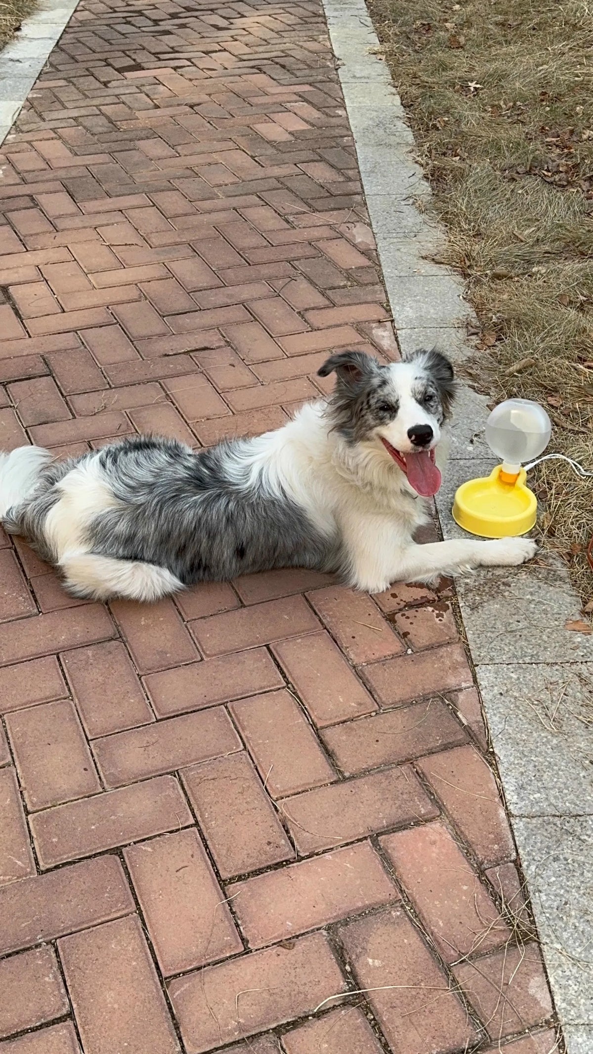 Garrafa Pet Portátil