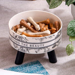 Tigelas Elevadas Pets