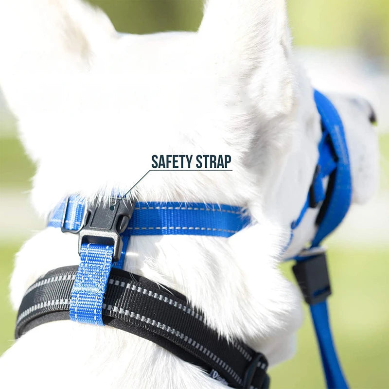 Focinho de boca de cachorro anti-abochado coleira de cachorro ferramenta de treinamento de cachorro conjunto de náilon com ajustável anti-mordida liberação rápida capa de boca de cachorro