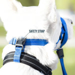 Focinho de boca de cachorro anti-abochado coleira de cachorro ferramenta de treinamento de cachorro conjunto de náilon com ajustável anti-mordida liberação rápida capa de boca de cachorro