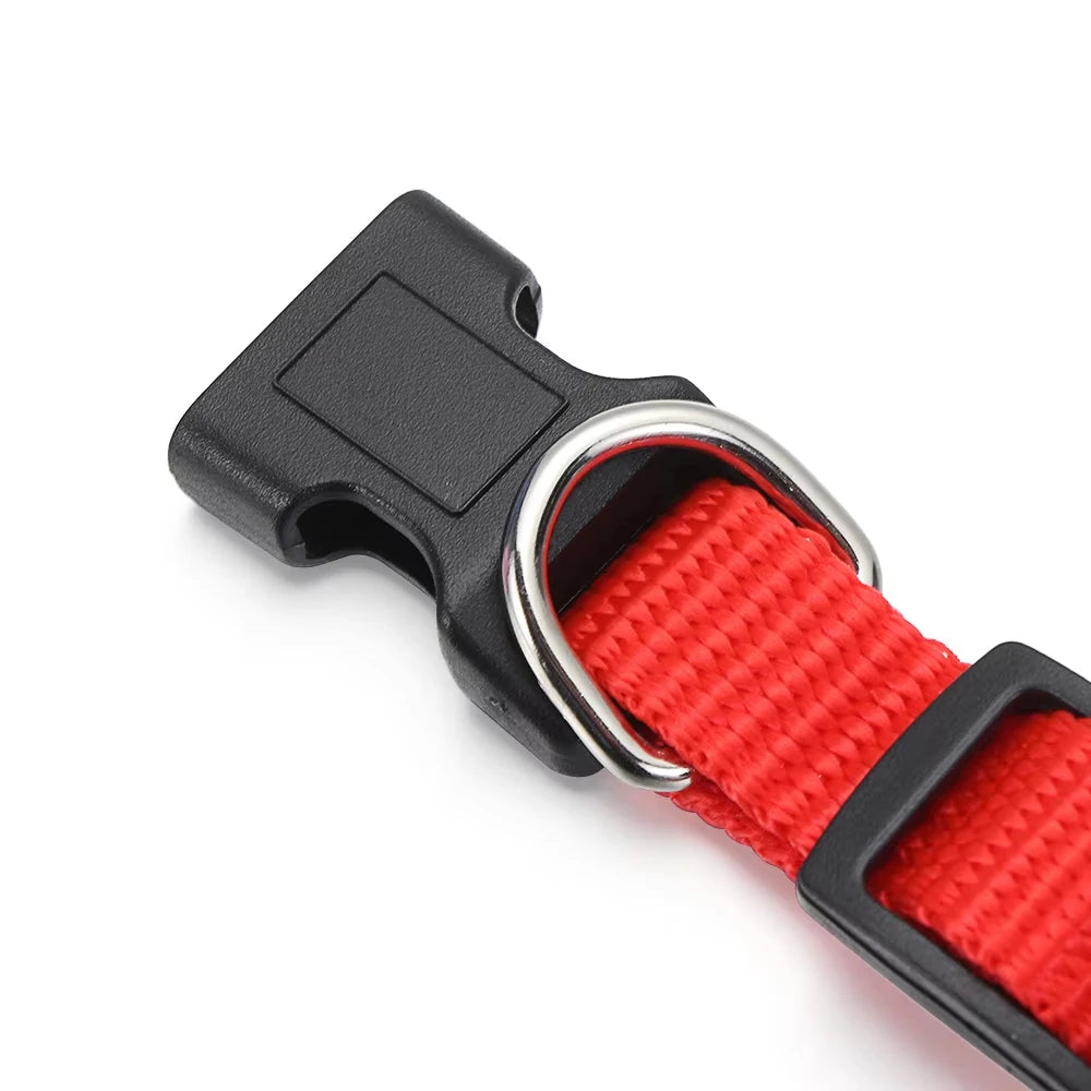 Bandana Pet Charmosa