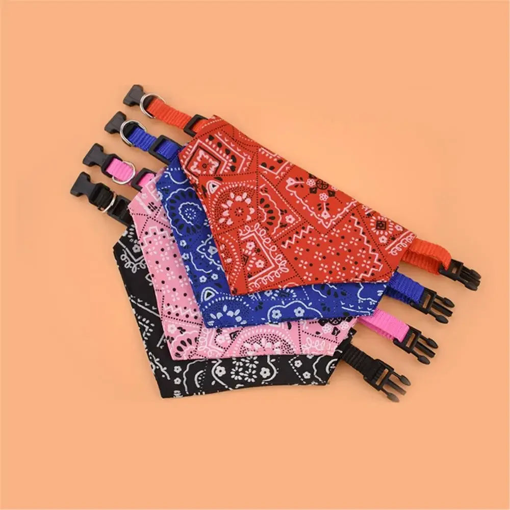 Bandana Pet Charmosa